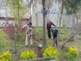 کاشت 300 اصله نهال میوه در دانشگاه فنی و حرفه ای استان آذربایجان شرقی