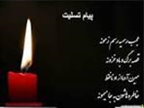 همکار گرامی جناب آقای سیدجمال رشیدی