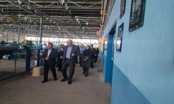 حرکتی نوین با پیوند ظرفیت‌های دانشگاه ملی مهارت، شبکه دانشگاه‌های مجازی جهان اسلام و وزارت جهاد کشاورزی