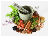 همایش مبانی طب سنتی