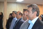 تصویر دو